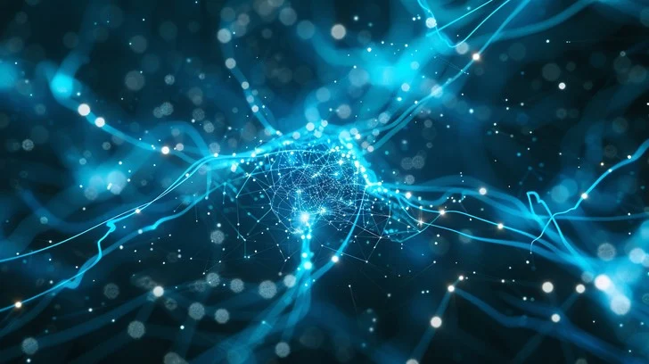 Neural network visualization